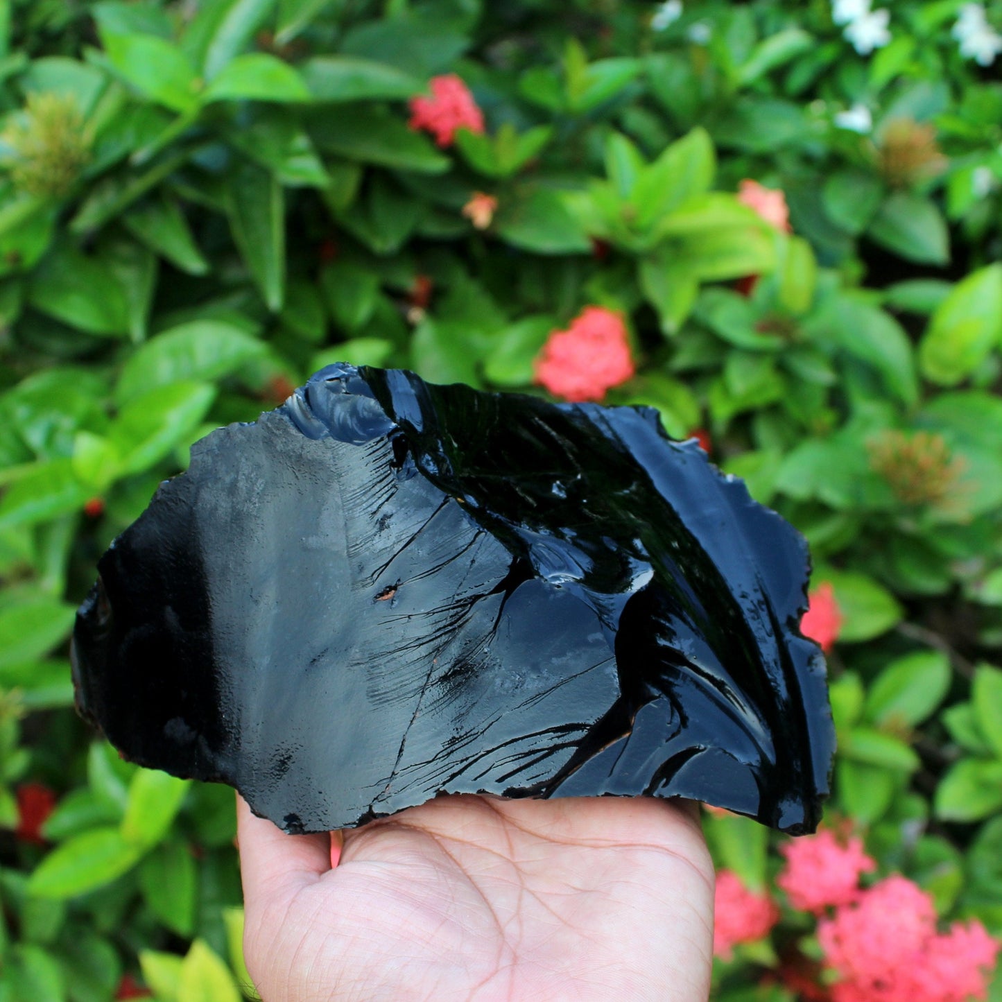 XL Black Obsidian Raw Stone