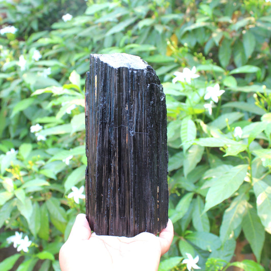 XL Black Tourmaline Raw Stone