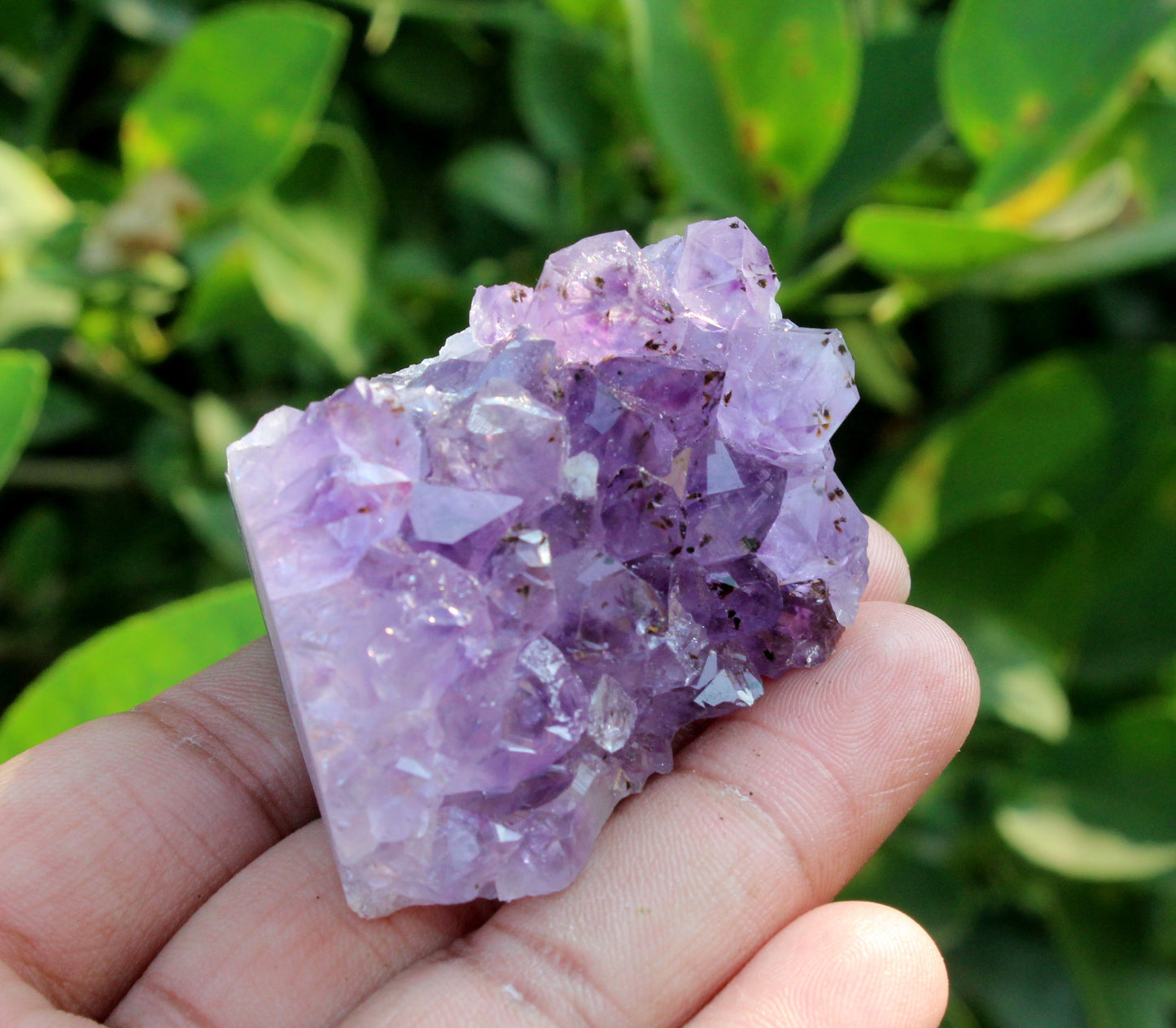 Natural Amethyst Druze Cluster