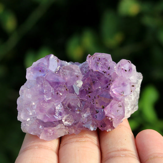 Natural Amethyst Druze Cluster