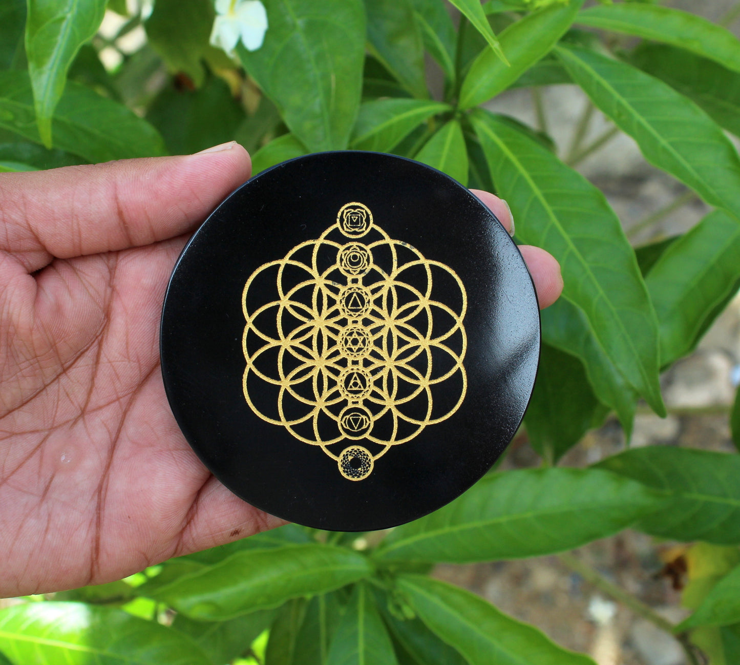 Chakra symbols engraved on Black Tourmaline Disc / Plate