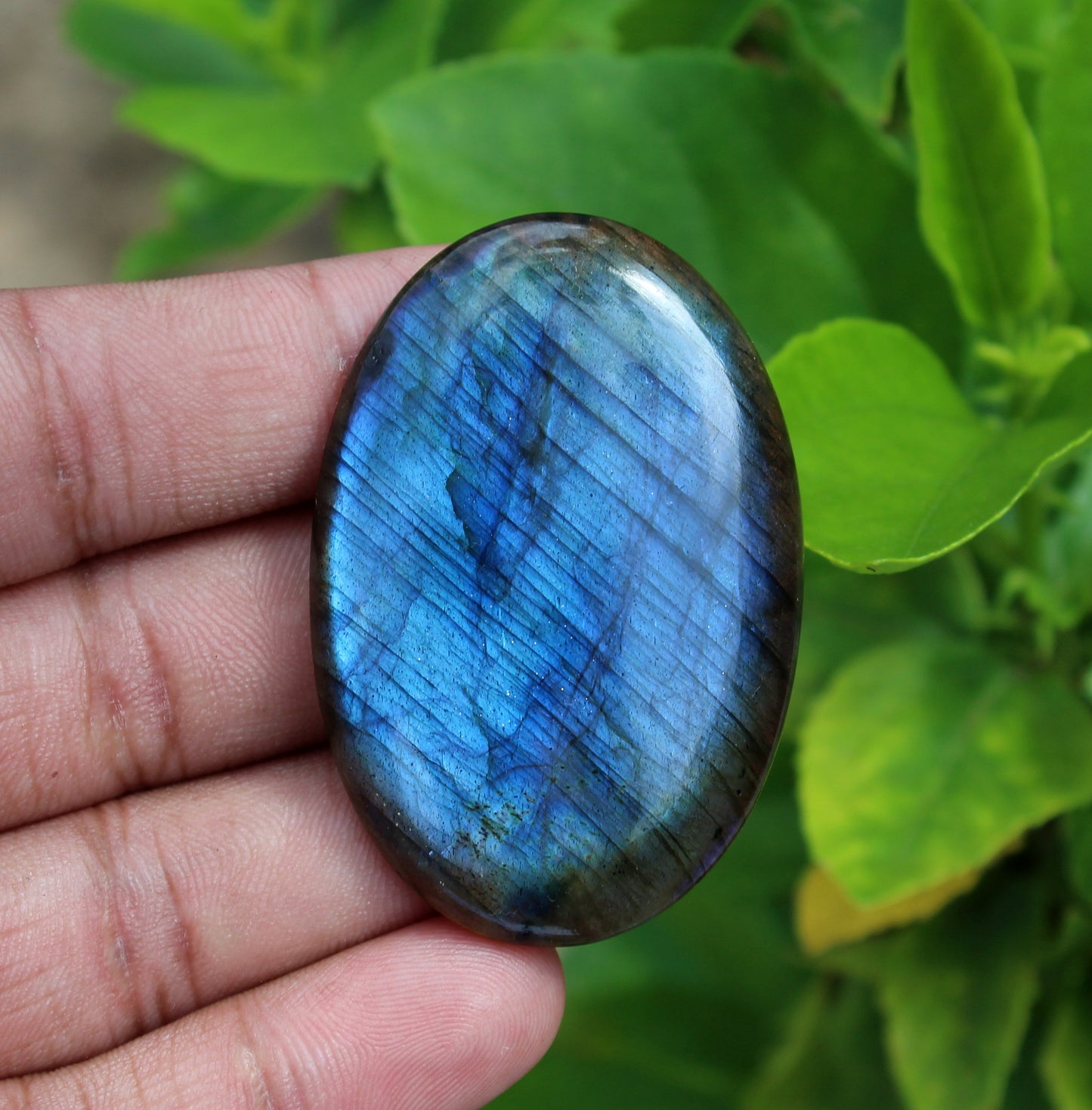 Natural Labradorite Blue Flash Oval Palmstone