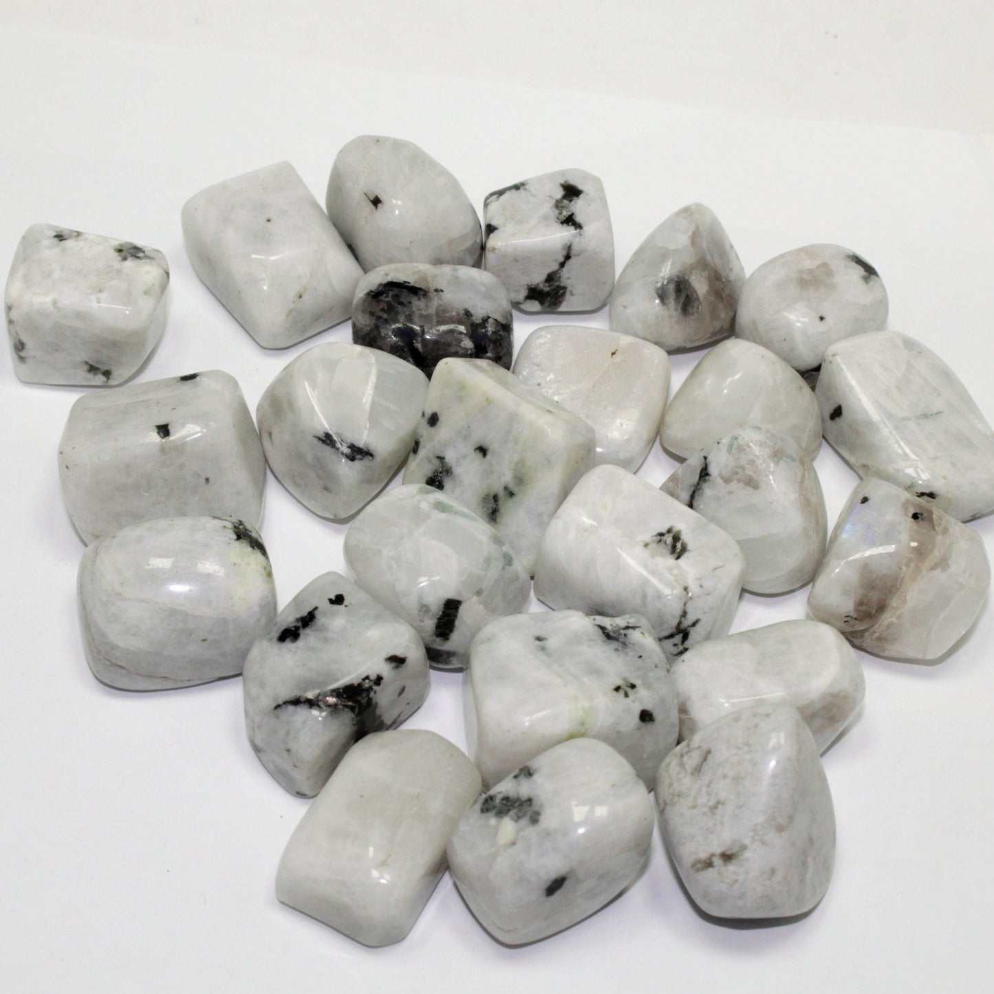 2 Lb Rainbow Moonstone Tumbled Stone - Wholesale