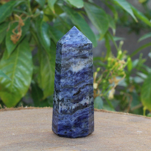 Natura 80 mm Sodalite Point