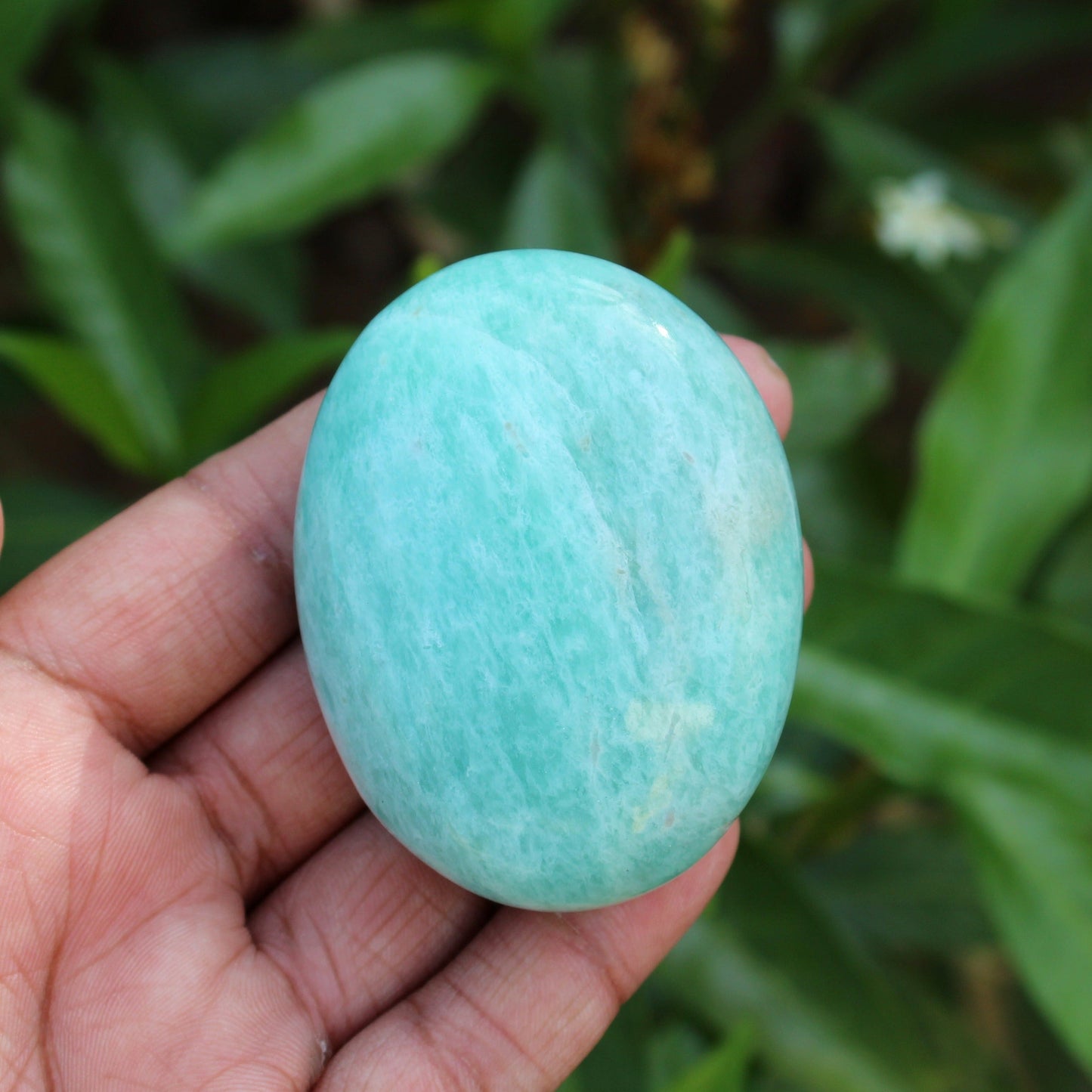 Natural Amazonite Palm Stone