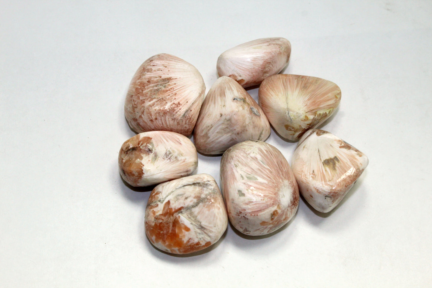 Natural Large Pink Scolecite Tumble Stone