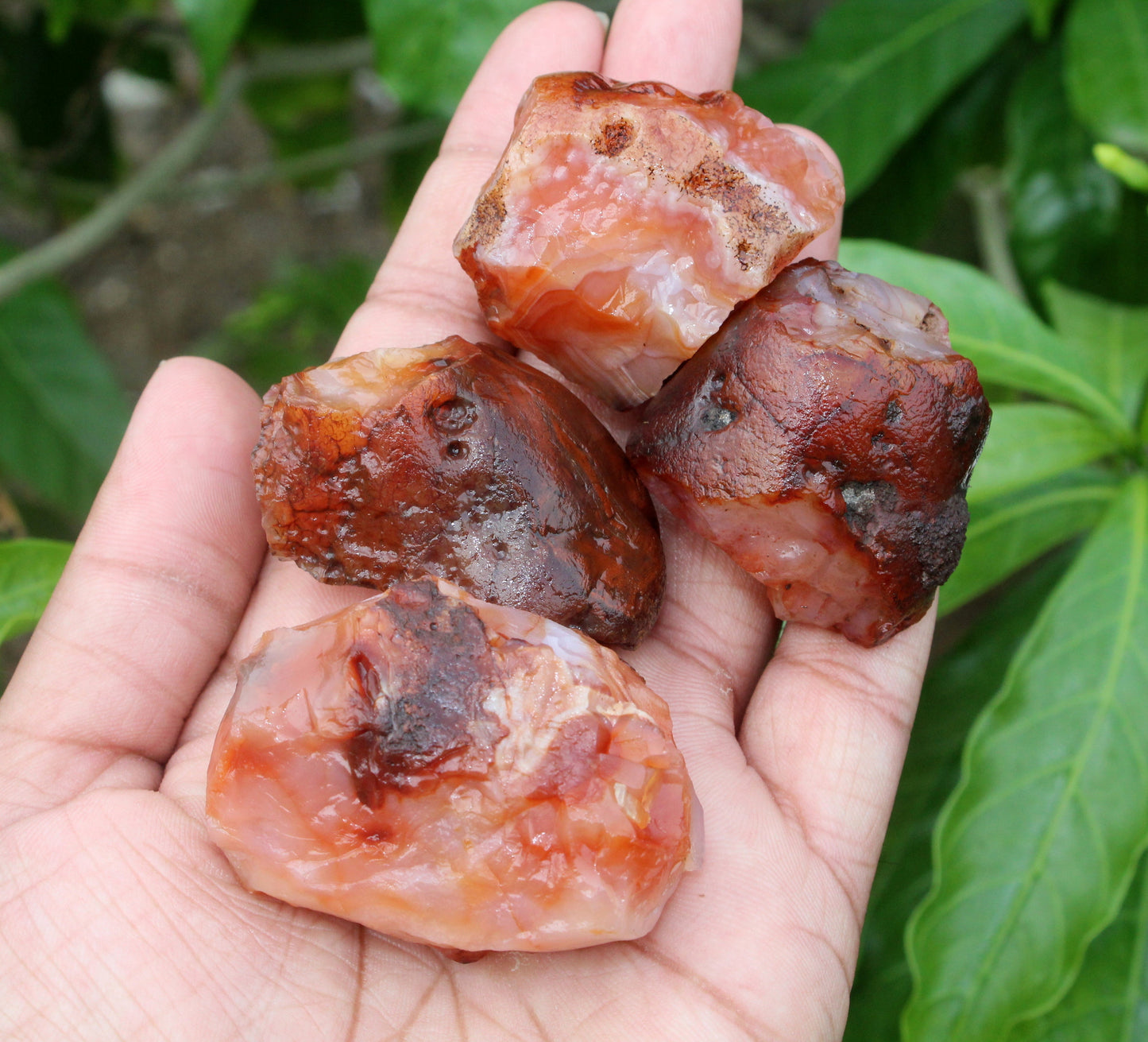 Natural Carnelian Raw Stone