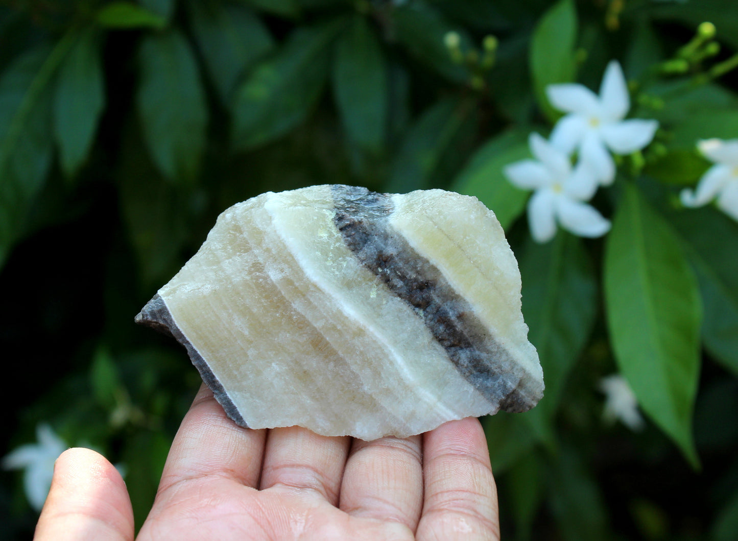 Natural Zebra Calcite Raw Stone