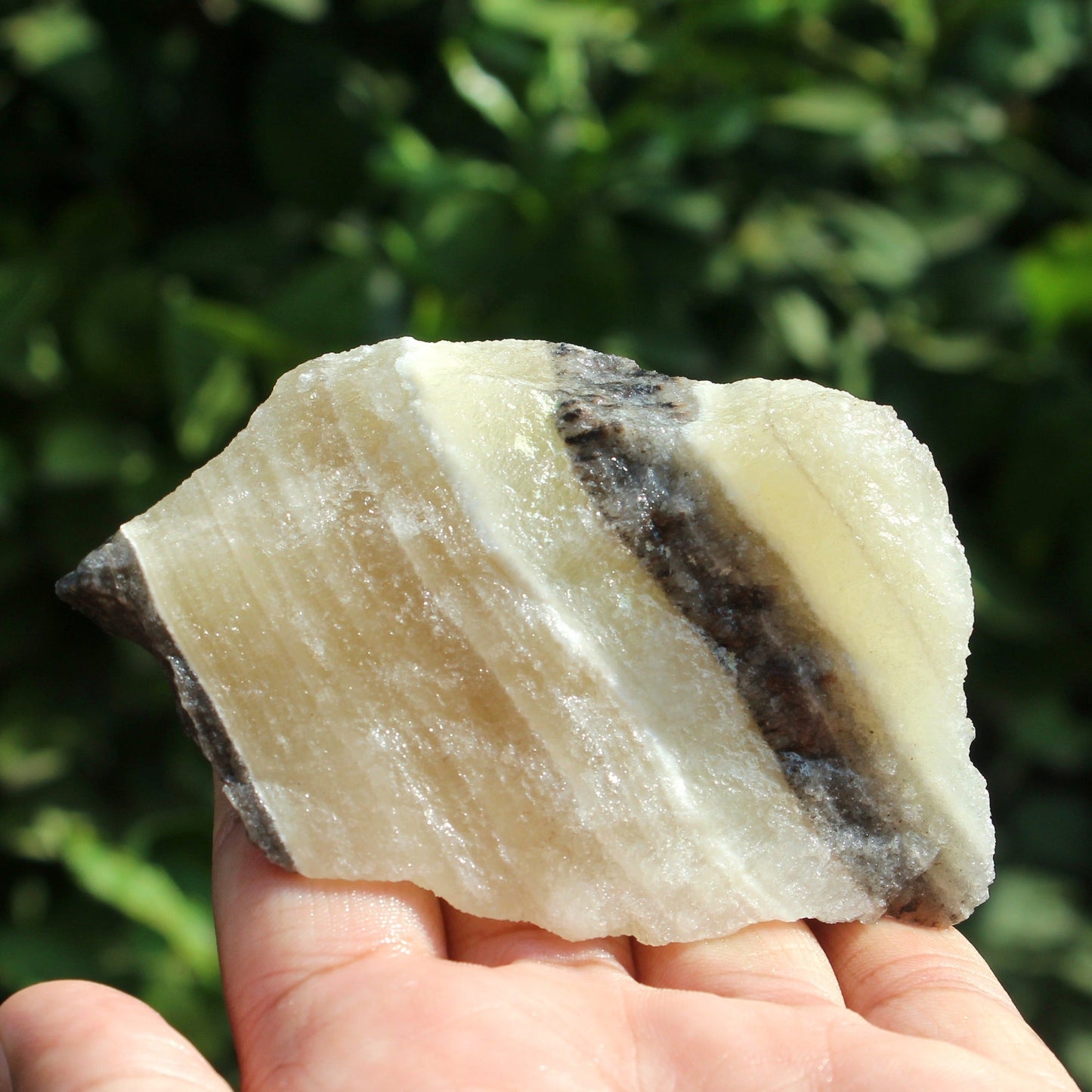 Natural Zebra Calcite Raw Stone