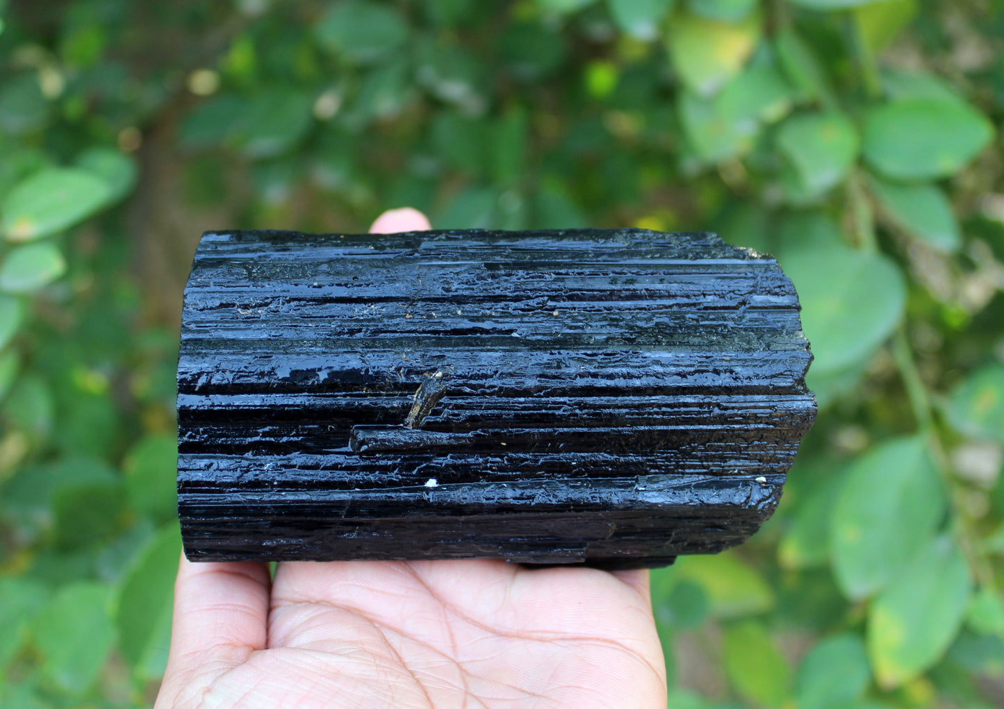 Natural Black Tourmaline Raw Stone - 770 grams