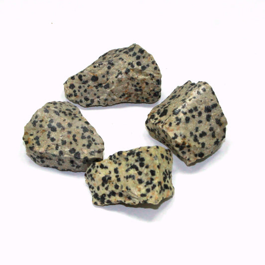 Natural Dalmation Jasper Raw Stone